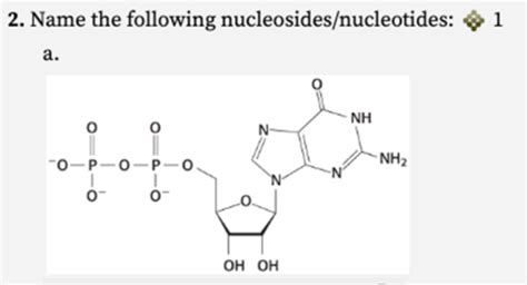 biochemistry chapter 8 quizlet|biochemistry online practice quizlet.